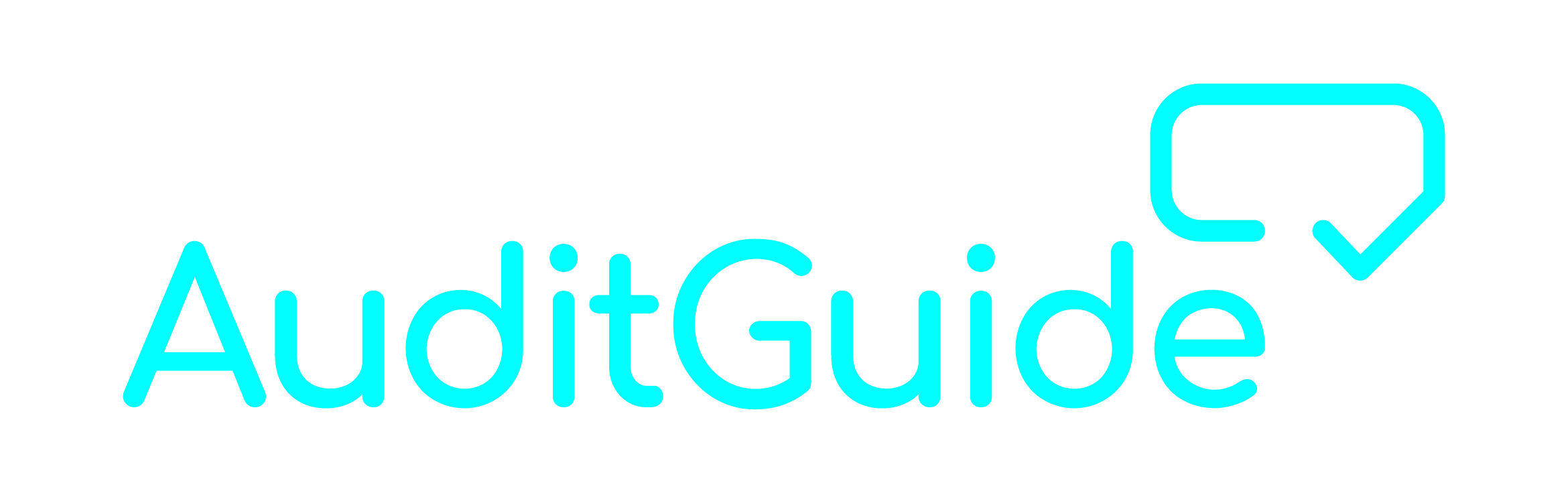 AuditGuide